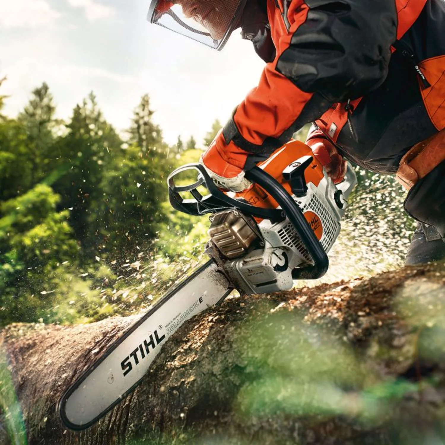 Stihl MS 362 C-M en abattage sur un tronc en forêt
