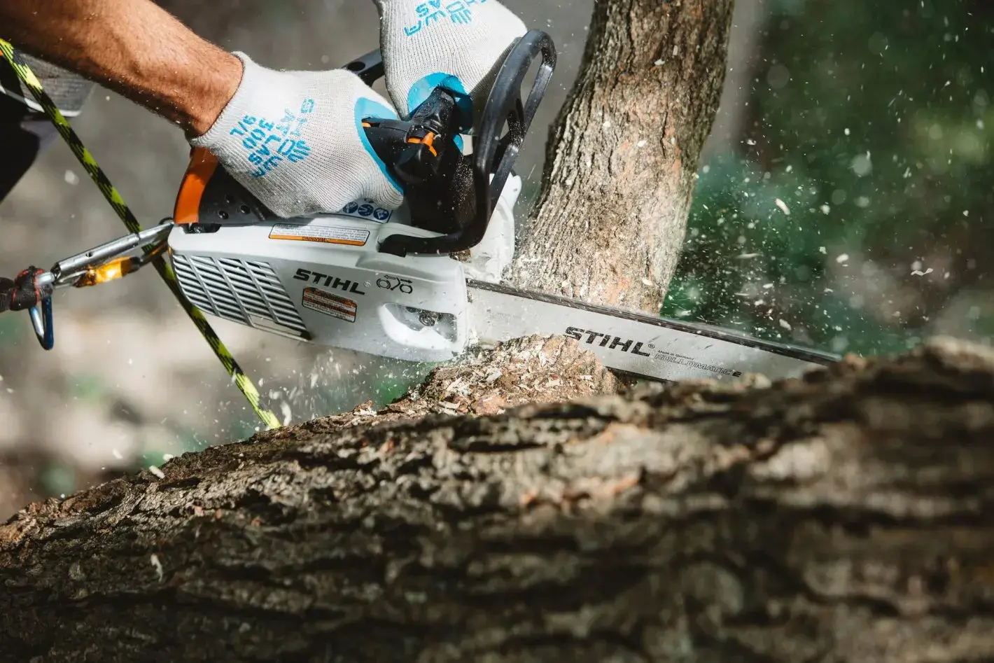 Stihl MS 194 T utilisée pour une coupe d'élagage