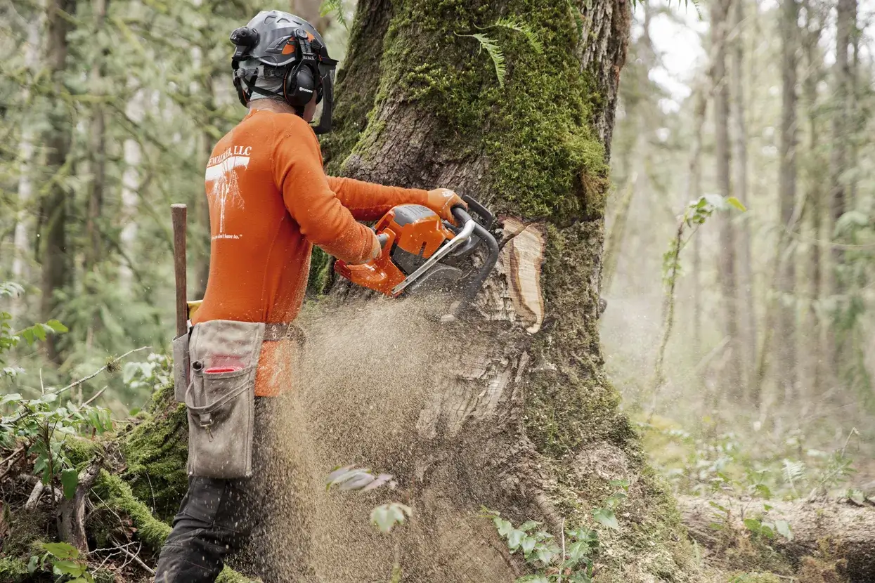 Détail du carter et de la poignée de la Husqvarna 592 XP