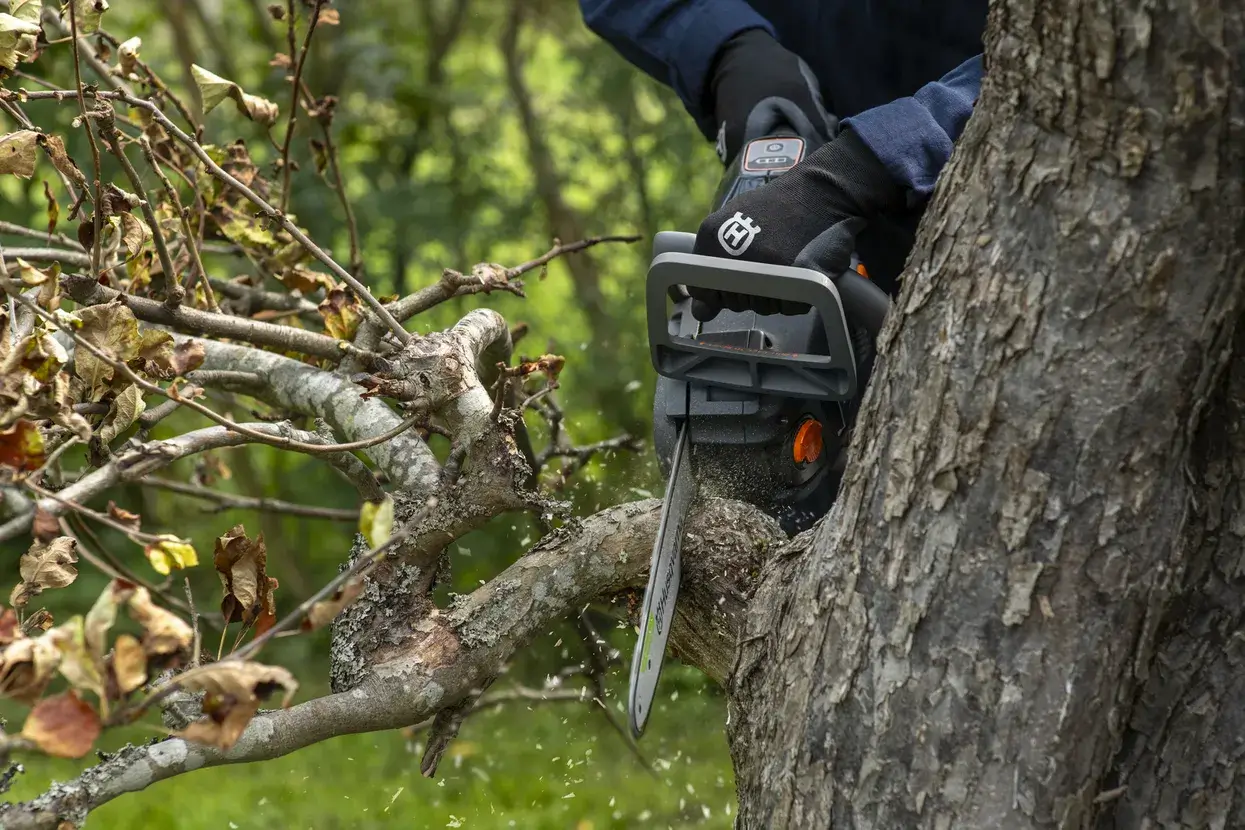 Détail de la Husqvarna C15X-P4A, molette de tension et logement de batterie