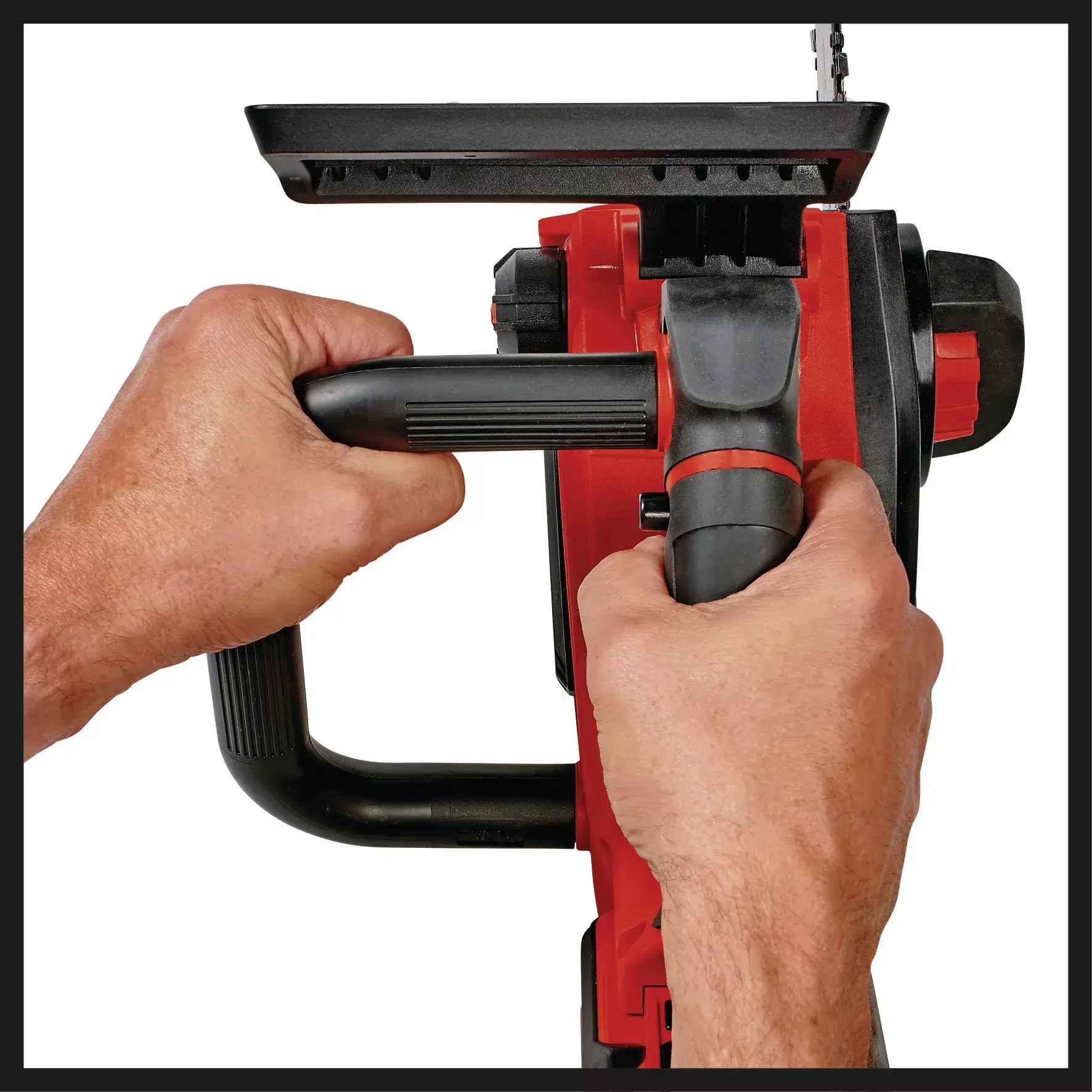 Einhell FORTEXXA 18/20 TH en cours de taille sur une branche