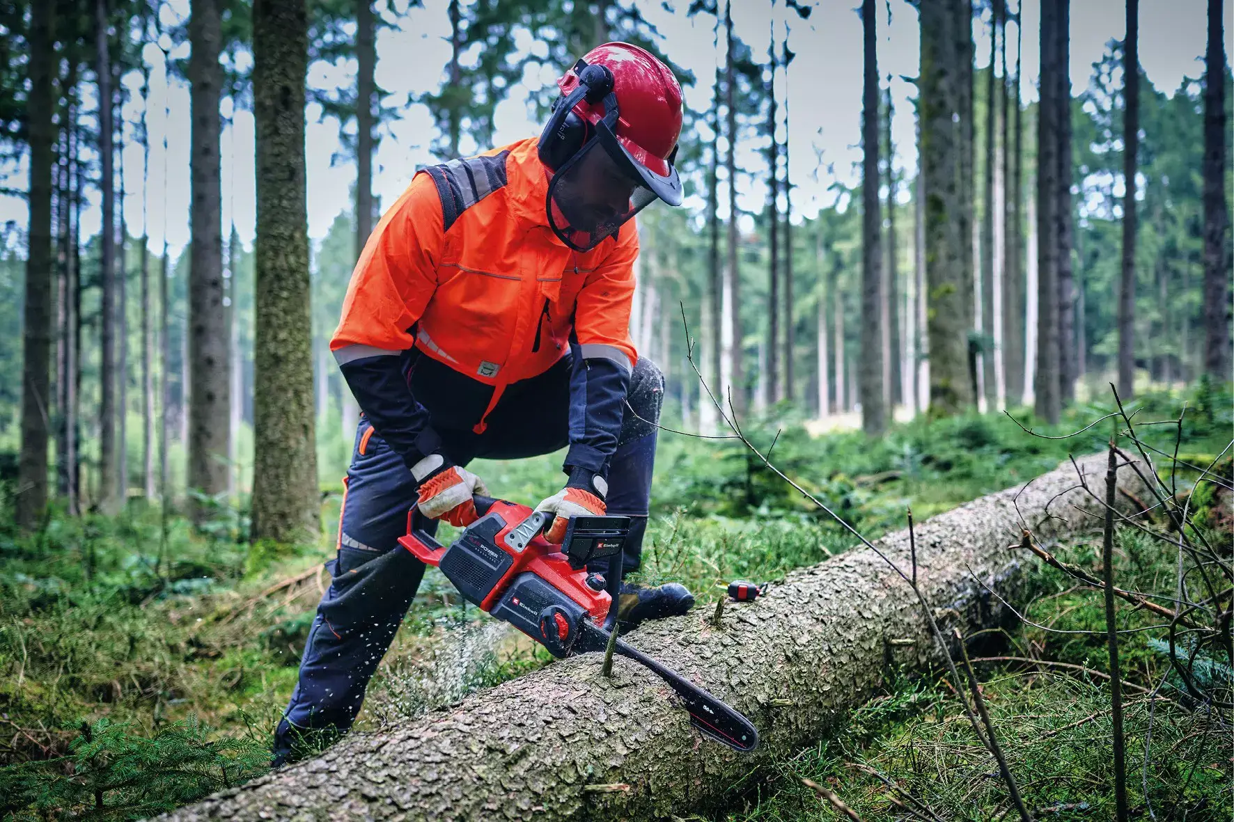 Einhell GP-LC 36/40 vue de profil avec ses deux batteries latérales