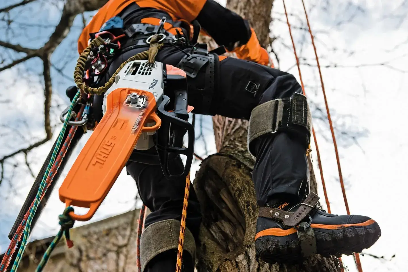 Poignée haute et anneau d'accrochage de la Stihl MS 201 TC-M