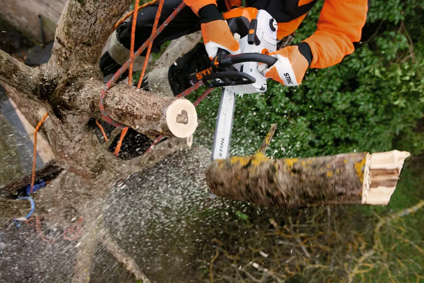 Stihl MS 201 TC-M en coupe sur une branche en hauteur