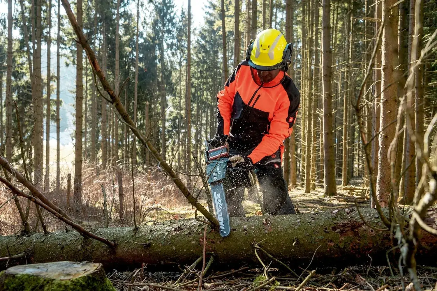 Metabo MS 36-18 LTX BL 40 en cours de coupe sur un tronc