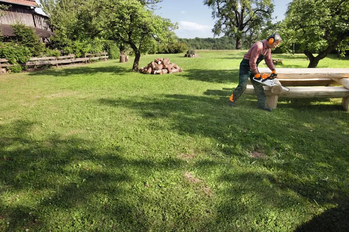 Stihl MS 231 C-BE en coupe dans du bois de chauffage
