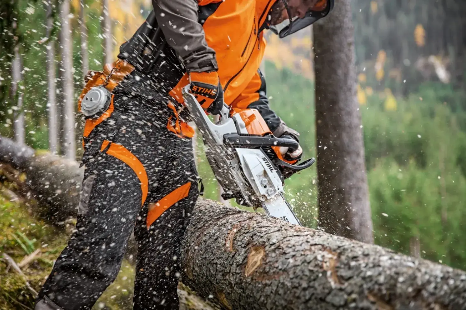 Stihl MS 261 C-M VW en coupe hivernale