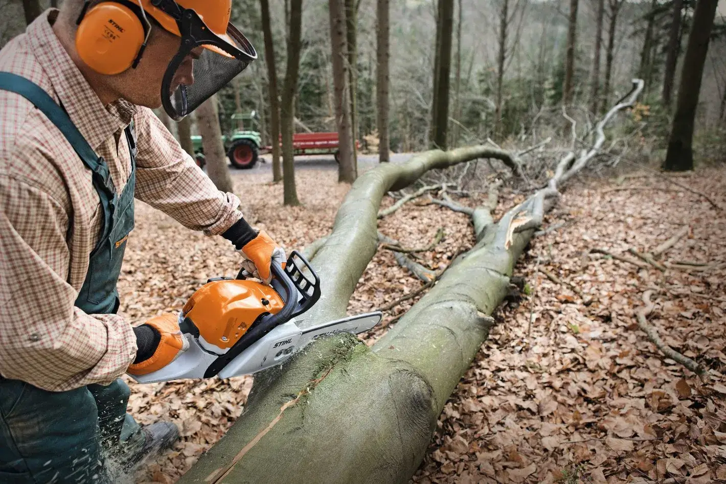 Stihl MS 391 en train de débiter un gros tronc