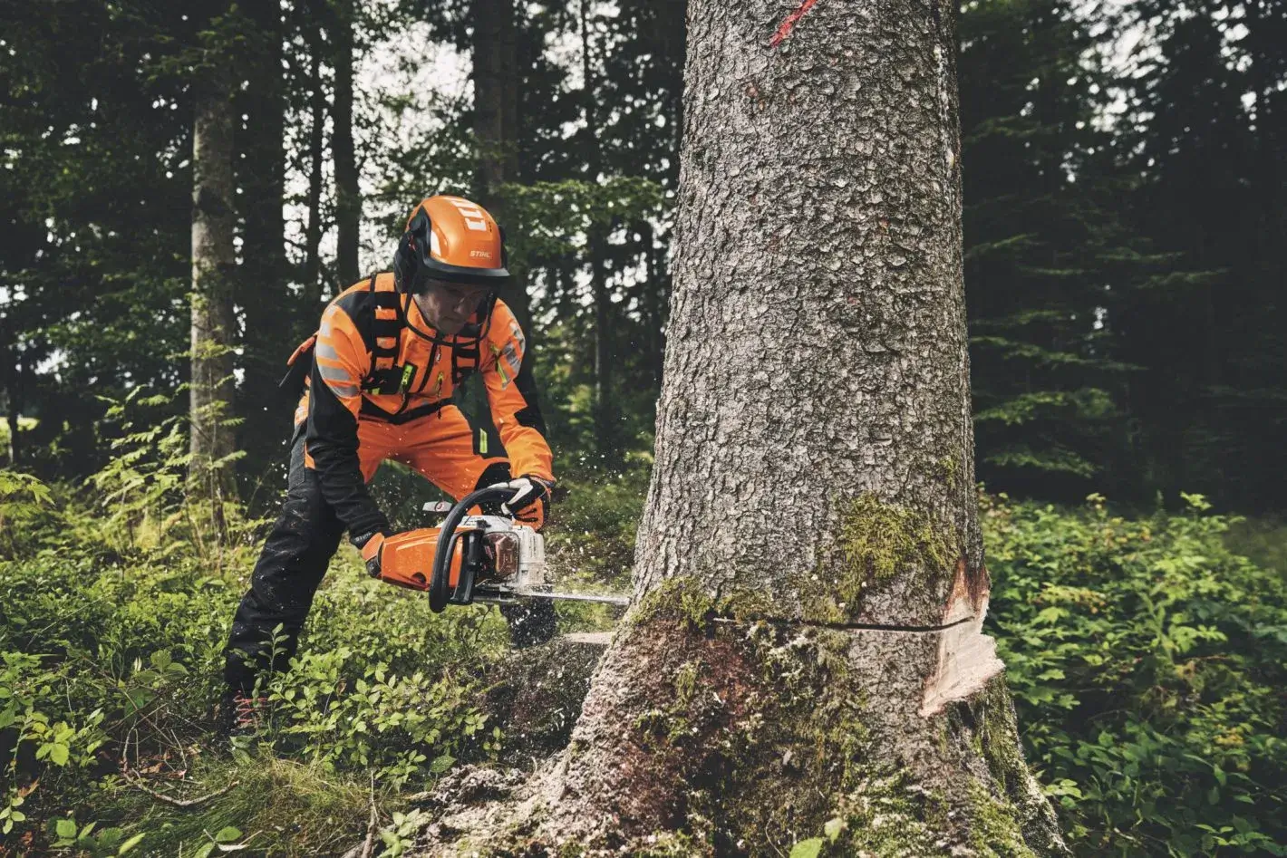 Stihl MS 400 C-M en coupe dans une grume
