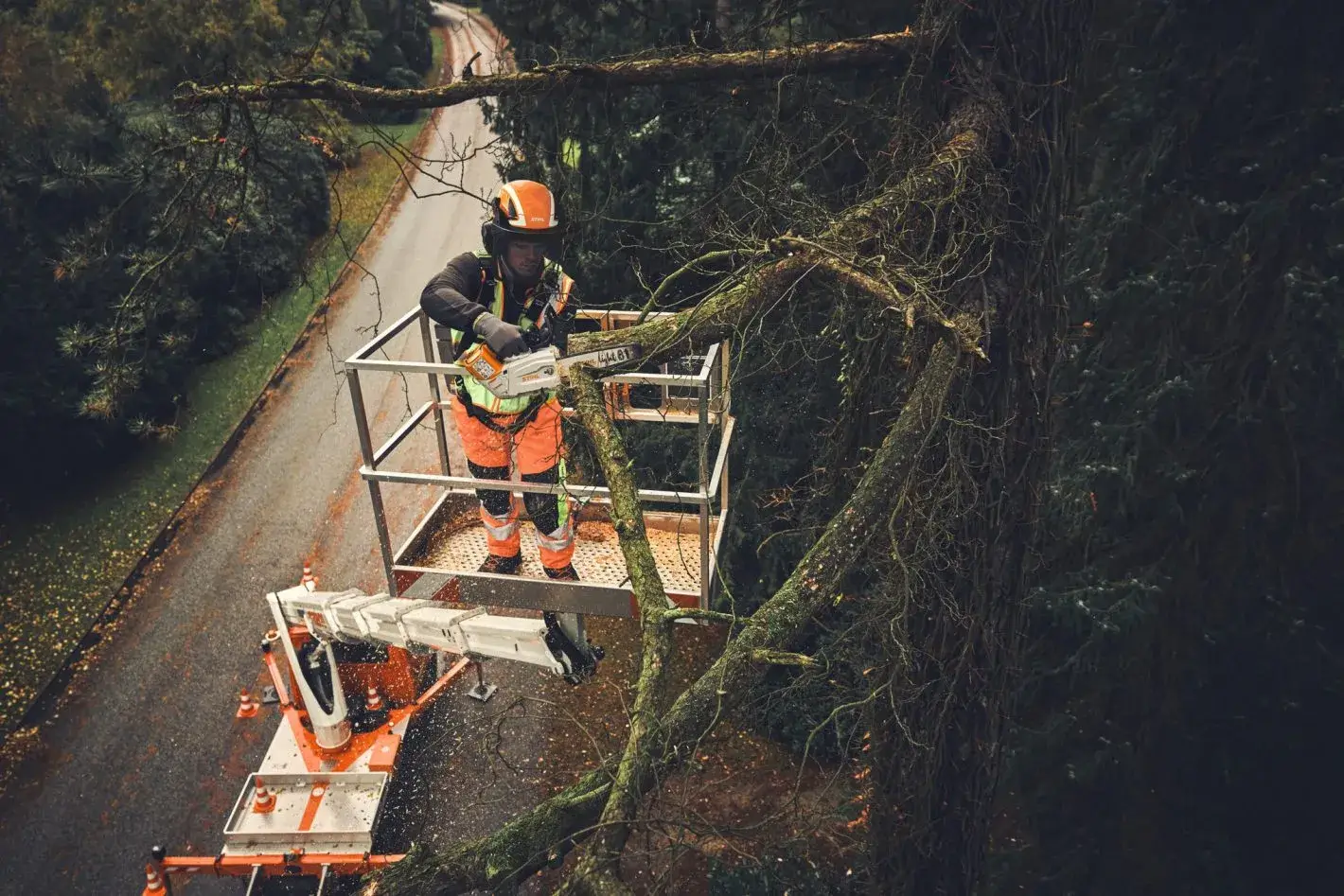 Stihl MSA 190 T en usage d'élagage dans un arbre