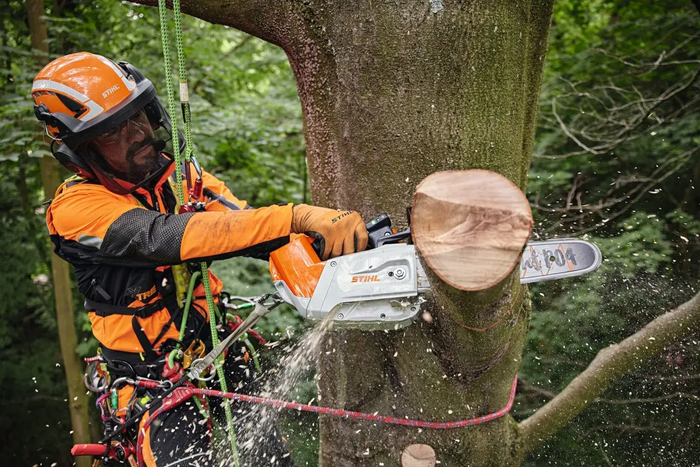 Stihl MSA 220 TC-O en coupe dans un arbre avec affichage LED